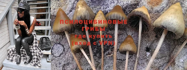 твердый Новокубанск