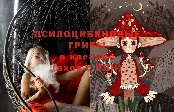 первитин Алексеевка