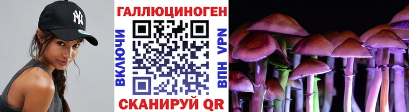 нарко площадка формула Бирск Галлюциногенные грибы Psilocybine cubensis купить цена