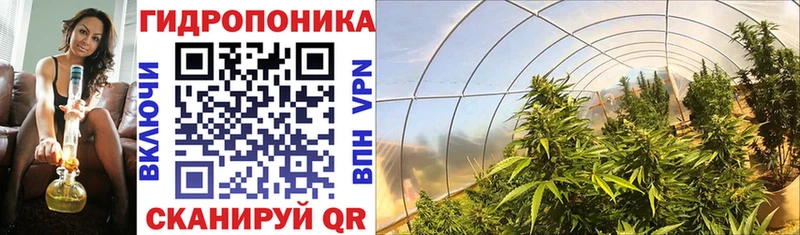Канабис гибрид Бирск